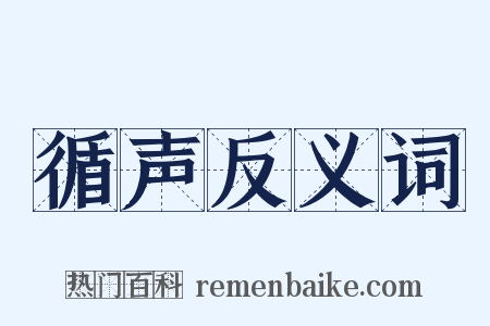 循声反义词是什么意思的图片